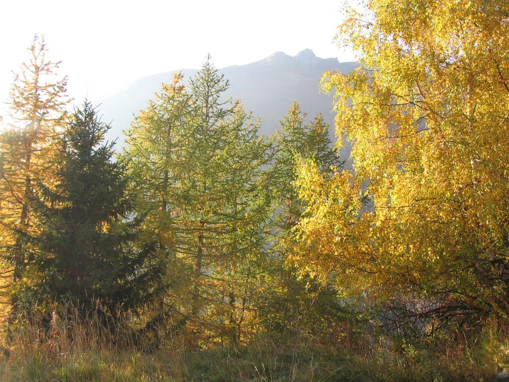 Baita La Jolie Bergere La Salle Buitenkant foto
