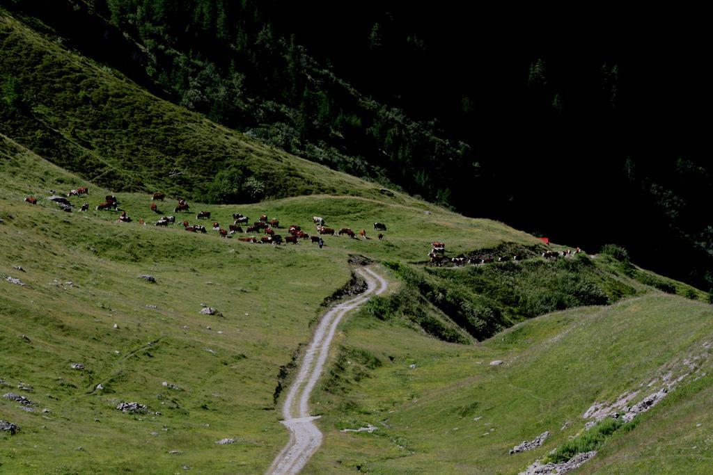 Baita La Jolie Bergere La Salle Buitenkant foto