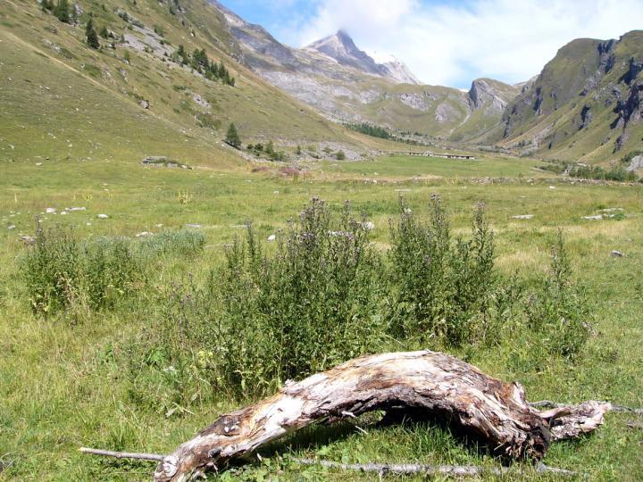 Baita La Jolie Bergere La Salle Buitenkant foto
